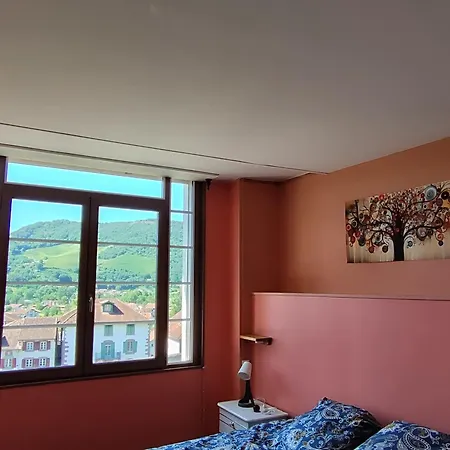 L'auberge Du Pelerin - St Jean Pied De Port 旅馆 圣让皮耶德波尔